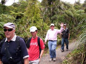 Image of fairyfallsapr07batrack.jpg