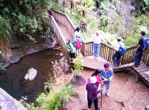 Image of fairyfallsapr07cifalls.jpg