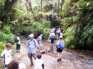 Image of fairyfallsapr07ddbelowfalls.jpg