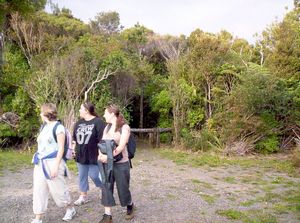 Image of fairyfallsapr07hcbreak.jpg