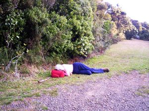 Image of fairyfallsapr07hewentilillo.jpg