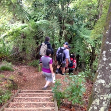 Image of fairyfallsapr151.jpg