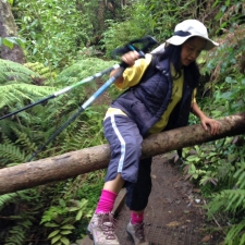 Image of fairyfallsapr153.jpg