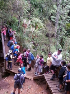 Image of fairyfallsapr154.jpg