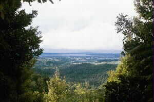 Image of fairyfallstrackviewq.jpg