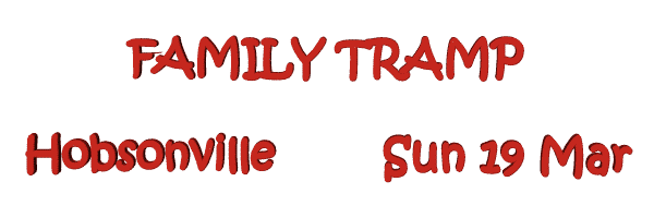 Image of familytramphobsonville23.gif