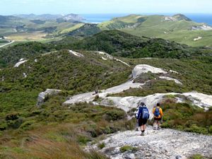 Image of farewellzh.jpg