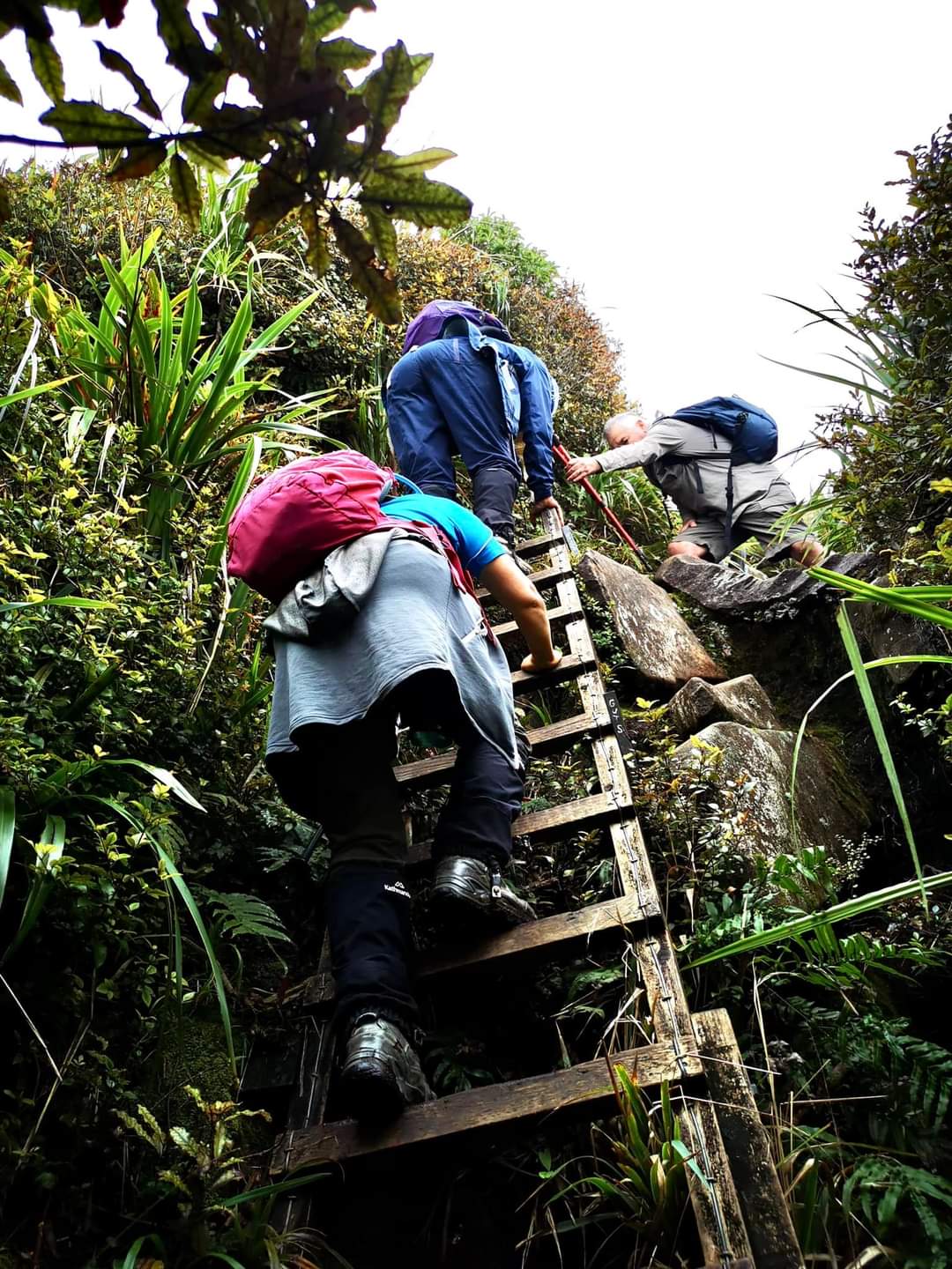 Image of fb_img_1682926770120.jpg