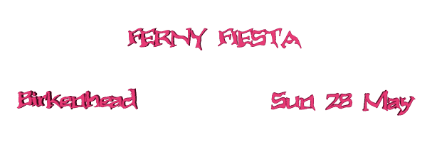 Image of fernyfiesta06.gif