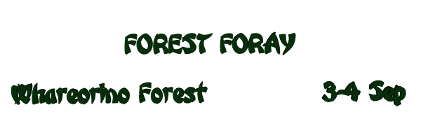 Image of forestforaysep22.gif