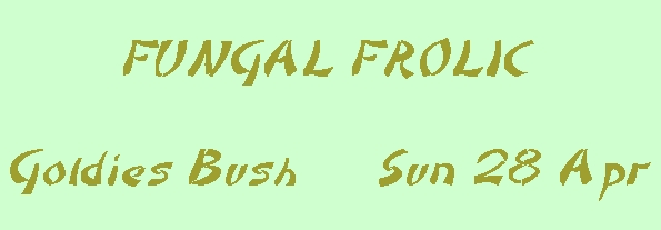 Image of fungalfrolic.jpg