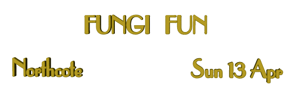 Image of fungifun08.gif