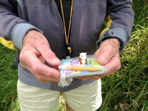 Image of geocache141.jpg