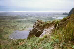 Image of gibbonstrackwetlandsq.jpg