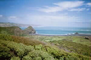 Image of gibbonstrackwhatipuq.jpg