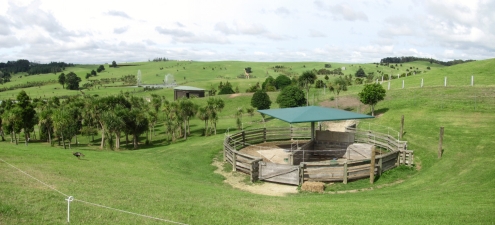 Image of gibbsfarm16j.jpg