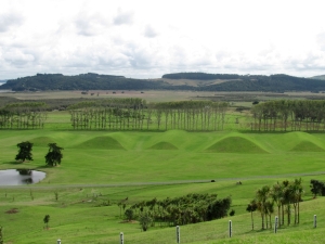 Image of gibbsfarm16p.jpg