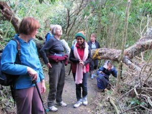 Image of glenfieldjul11bptree.jpg