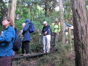 Image of glenfieldjul11fetrack.jpg