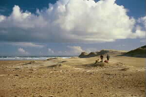 Image of goldenstairssanddunesq.jpg