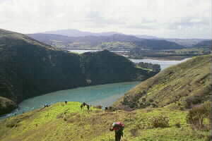 Image of goldenstairswhangapeharbourq.jpg