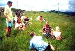 Image of goldielunchq.jpg