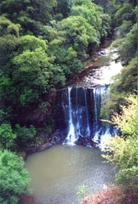 Image of goldiemokoroafalls2q.jpg