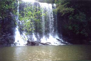 Image of goldiemokoroafallsq.jpg