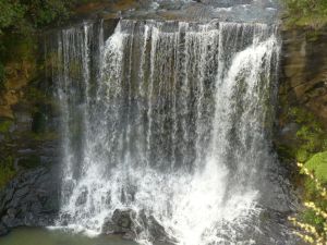 Image of goldies101.jpg