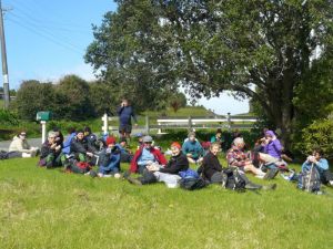 Image of goldies102.jpg