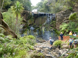 Image of goldiesmar142.jpg