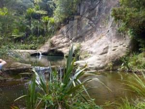 Image of goldiesmar143.jpg