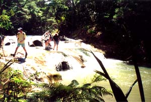 Image of goldiestream6q.jpg