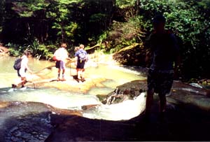 Image of goldiestream8q.jpg