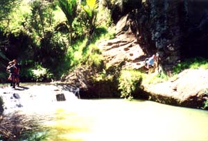 Image of goldiestream9q.jpg