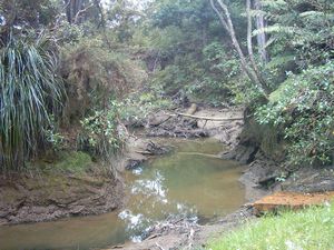 Image of greenhithe03creek2.jpg