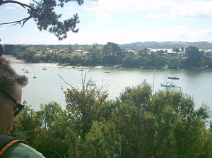 Image of greenhithe03heraldislandfrommaraereserve.jpg