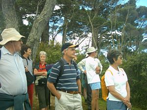 Image of greenhithe03maraereservebreak.jpg