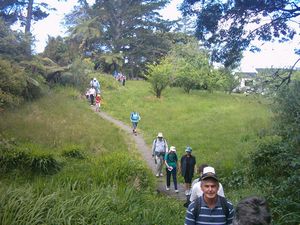 Image of greenhithe03orataureserve.jpg