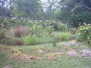 Image of greenhithe03walkwaytowainoni2.jpg