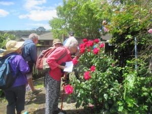 Image of greenhithenov23e.jpg