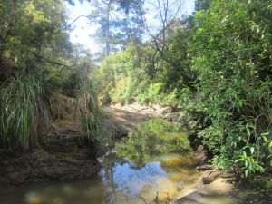 Image of greenhithenov23g.jpg