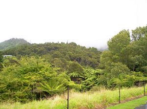 Image of hakarimatamar07basettingoutview.jpg