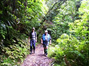 Image of hakarimatamar07bbtrack.jpg