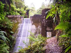 Image of hakarimatamar07cadam.jpg