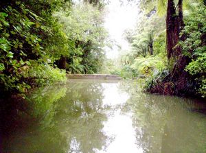 Image of hakarimatamar07cereservoir.jpg