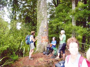 Image of hakarimatamar07dabreak.jpg