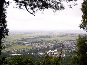 Image of hakarimatamar07dengaruawahia.jpg