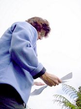 Image of hakarimatamar07eedevotions.jpg