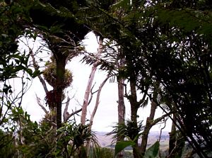 Image of hakarimatamar07fhviewwest.jpg